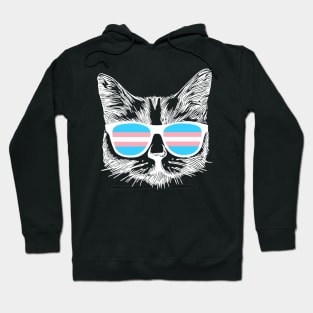 Transgender Pride Flag Cat Transgender Awareness Gift Hoodie